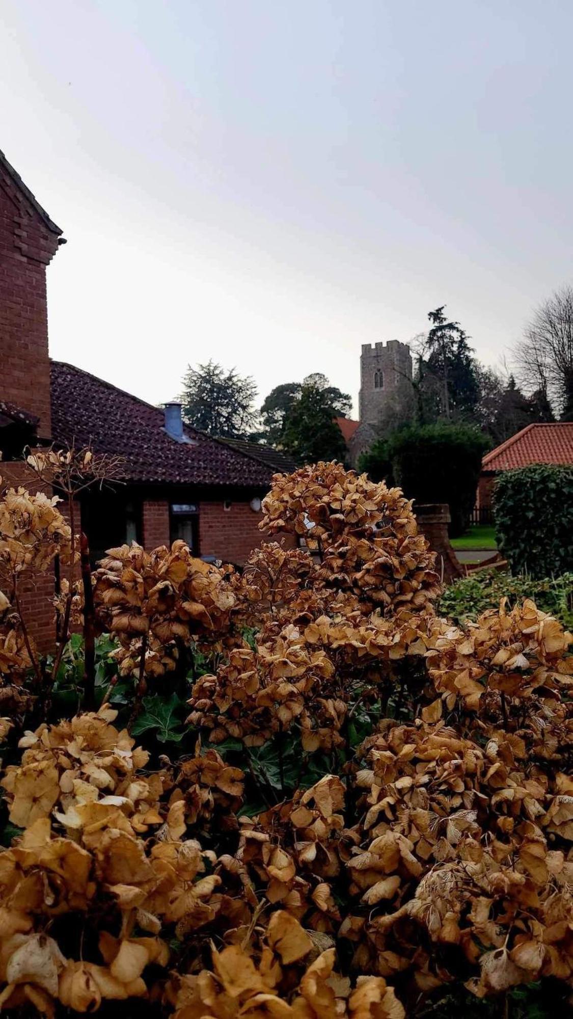 Church Farm Guest House Horsford Eksteriør bilde